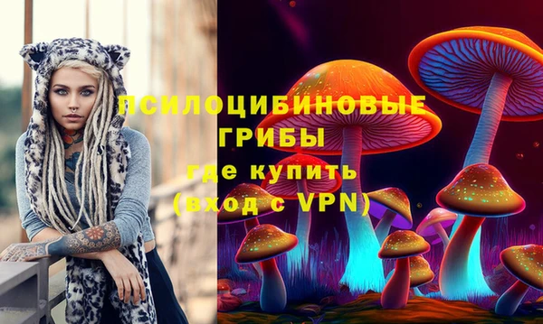спайс Ельня