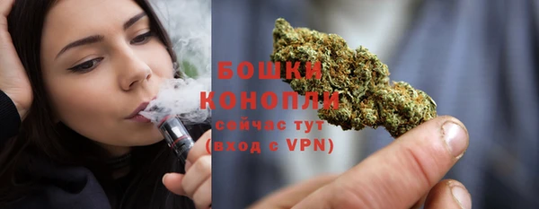 хмурый Дмитровск