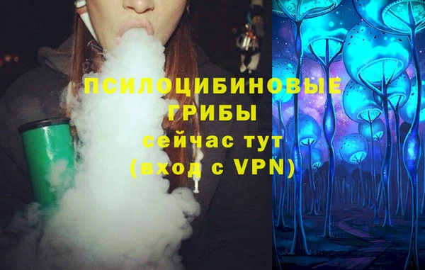 гашик Заволжье