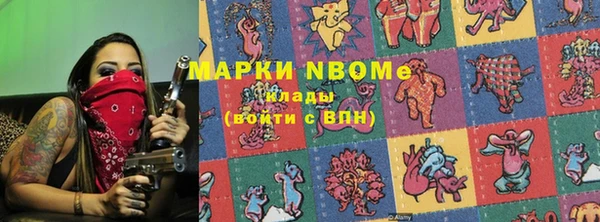 винт Анива