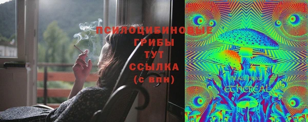 гашик Заволжье